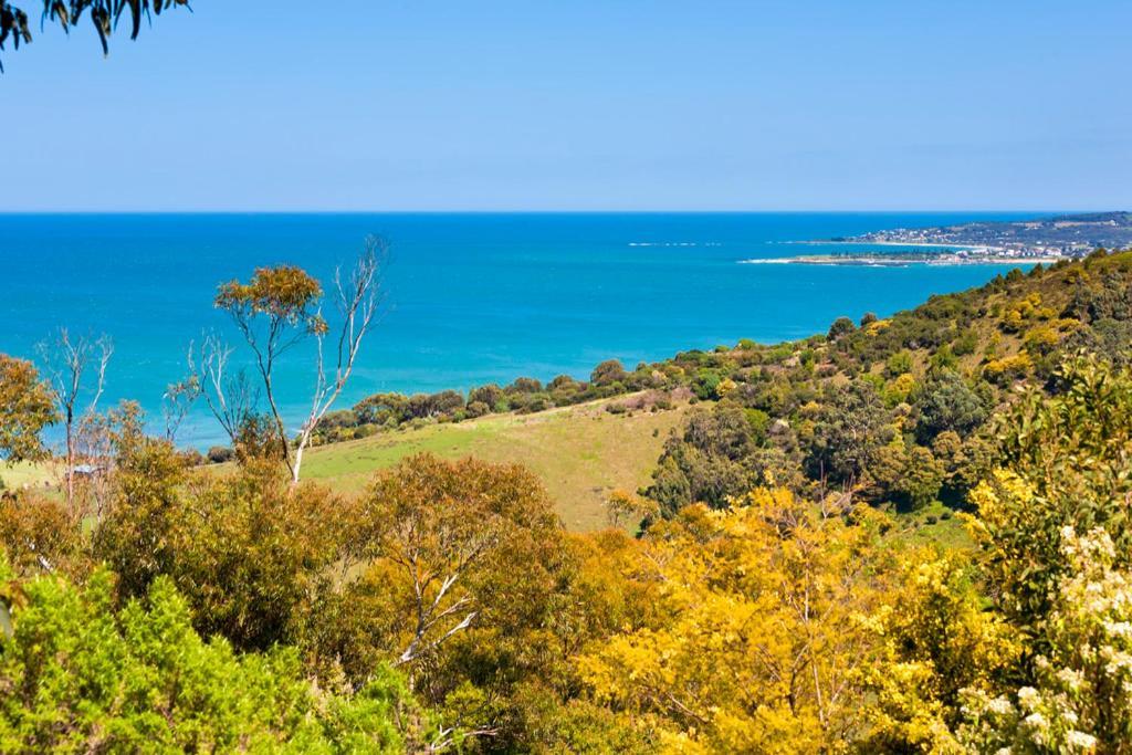 Beacon Point Ocean View Villas Skenes Creek Екстериор снимка