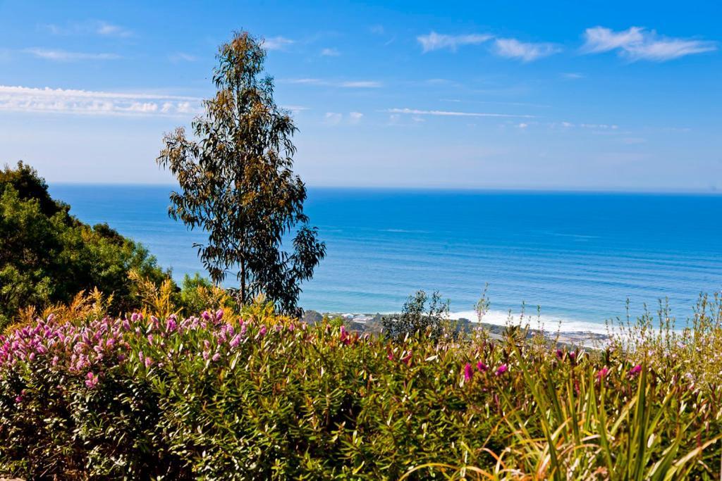 Beacon Point Ocean View Villas Skenes Creek Екстериор снимка