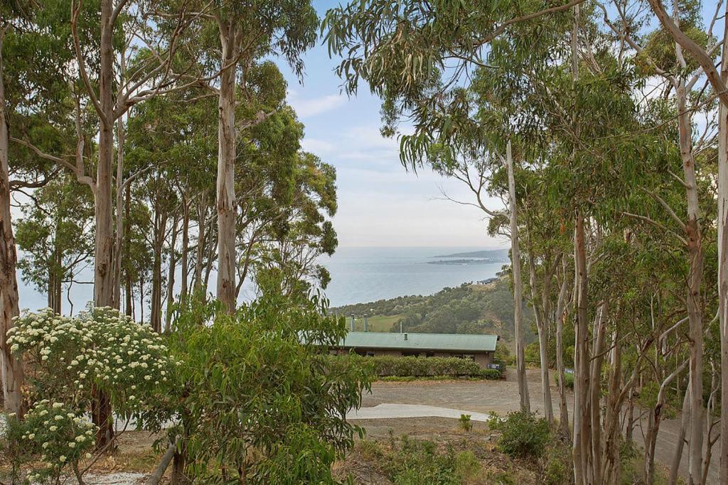 Beacon Point Ocean View Villas Skenes Creek Екстериор снимка